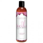 Intimate Earth SOOTHE - antibakteriálny lubrikant 240ml